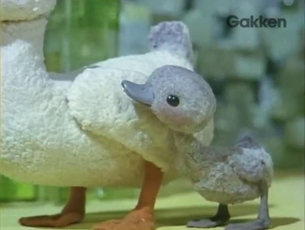 Гадкий утёнок